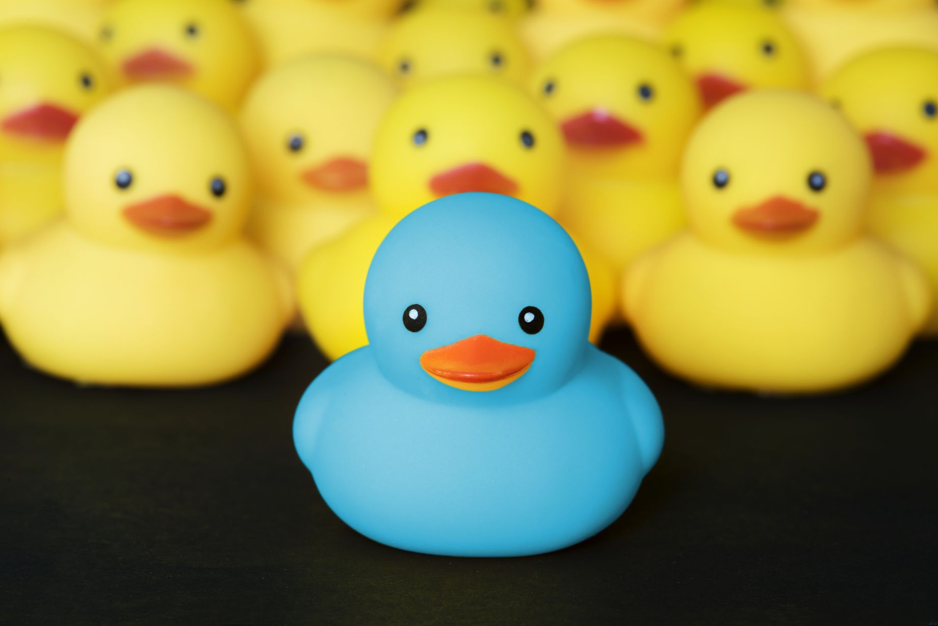 Let us create products for you that will make you stand out from the crowd!